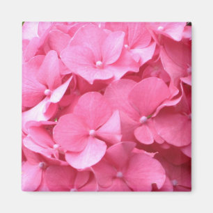 Aimant d'Hydrangée rose