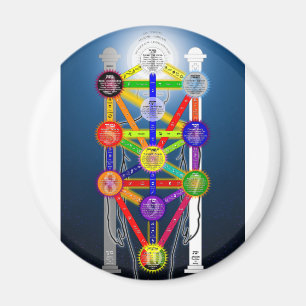 Aimant Diagramme de la structure de l'arbre de vie de la 