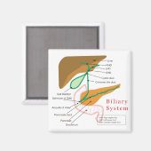 Aimant Diagramme du système binaire Diagramme de bille (Recto/Verso)