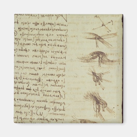 Aimant Diagrammes scientifiques (Devant)