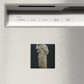 Aimant Diana de Gabii (In Situ (Lave-vaisselle))