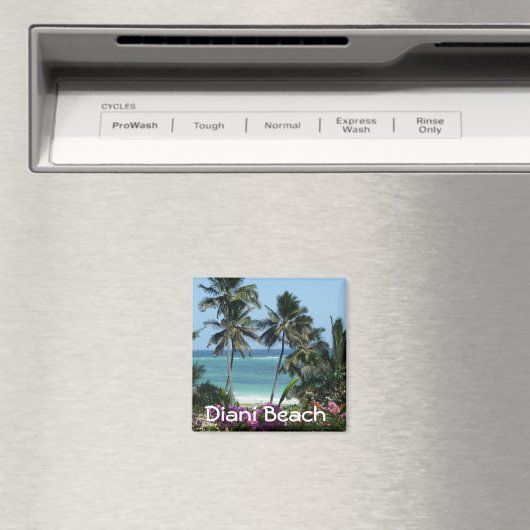 Aimant Diani Beach près de Mombasa Afrka (In Situ (Lave-vaisselle))