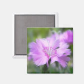 Aimant Dianthus Plumarius (Recto/Verso)