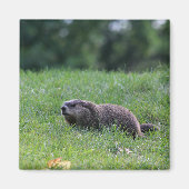 Aimant Digger de trou du diable (Devant)