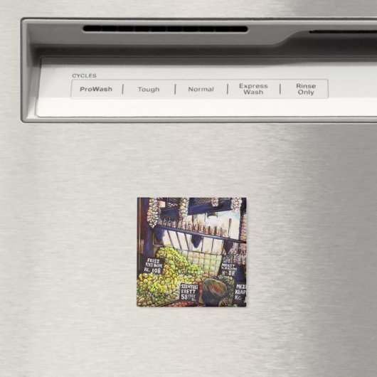 Aimant Dimensions de curiosité (In Situ (Lave-vaisselle))