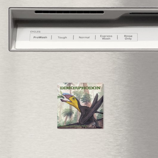 Aimant Dimorphodon (In Situ (Lave-vaisselle))
