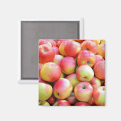 Aimant d'impression de pommes rouges et jaunes (Recto/Verso)