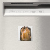 Aimant dinde rôtie farcie dans plateau torréfié, fermer (In Situ (Lave-vaisselle))