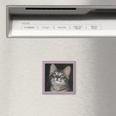 Aimant d'innocence de Kitten (In Situ (Lave-vaisselle))