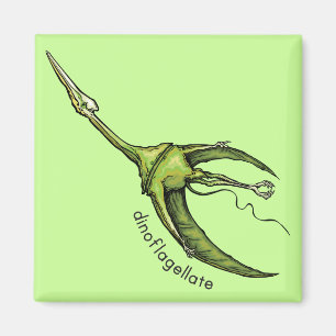 Aimant Dinoflagellate