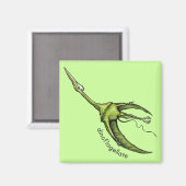 Aimant Dinoflagellé (Recto/Verso)