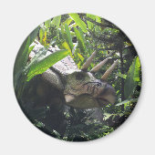 Aimant Dinosaure dans la nature (Devant)