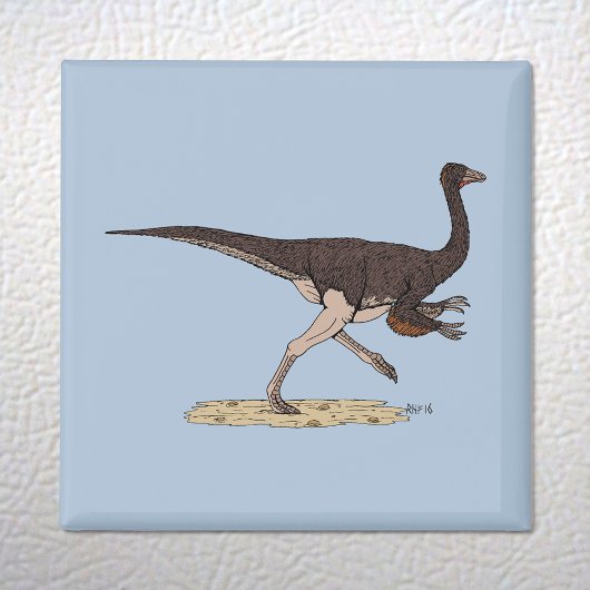Aimant Dinosaure ornithomimus crétacé