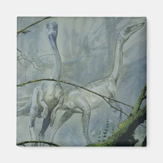 Aimant Dinosaures vintages, Megapnosaurus alias Syntarsus (Devant)