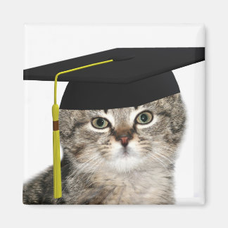 Aimant Diplôme de chatte