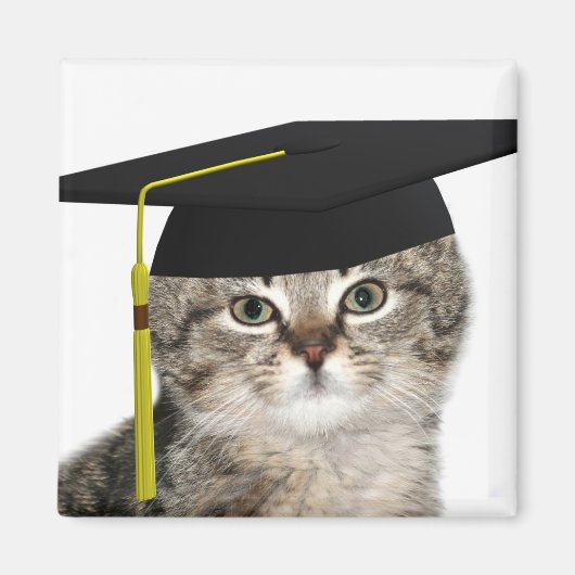 Aimant Diplôme de chatte (Devant)