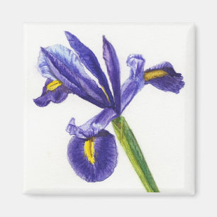 Aimant d'iris