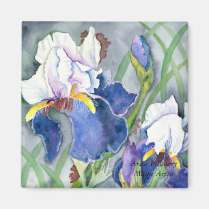 Aimant d'IRIS
