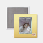 Aimant Dis iz aussi loin que le coude du lit.. (Recto/Verso)