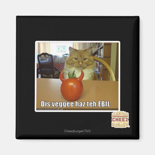Aimant Dis veggee haz l'EBIL (Devant)