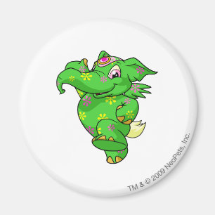 Aimant Disco d'Elephante