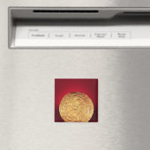 Aimant Disque éventuellement utilisé comme broche, de Ted (In Situ (Lave-vaisselle))