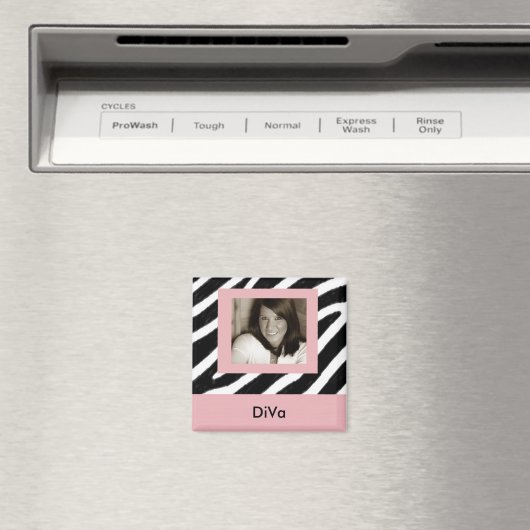AIMANT DIVA (In Situ (Lave-vaisselle))