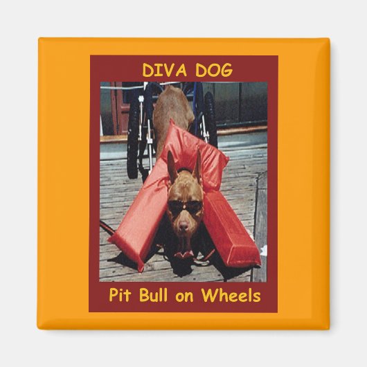 Aimant DIVA DOG' Réfrigérateur magnétique (Devant)