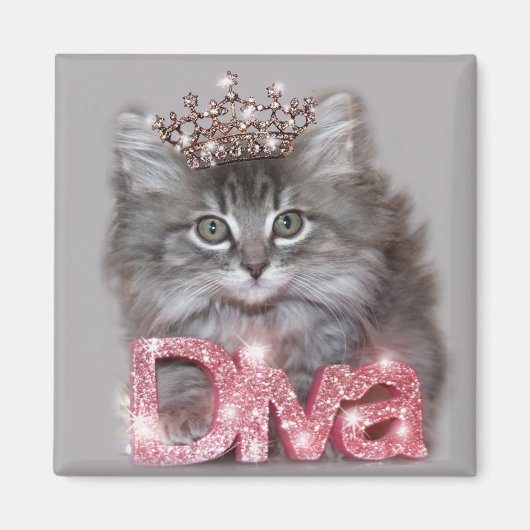 Aimant Diva Kitty avec Tiara (Devant)