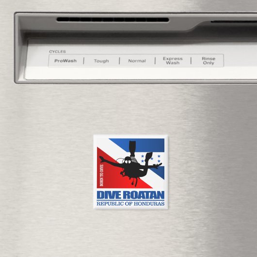 Aimant Dive Roatan DF2 (In Situ (Lave-vaisselle))