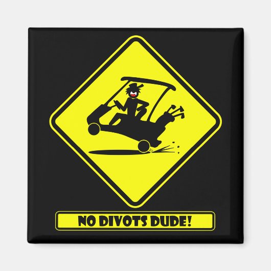 Aimant Diviations DUDE-1 (Devant)