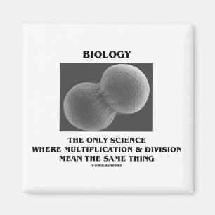 Aimant Division des sciences de la biologie Multiplicatio