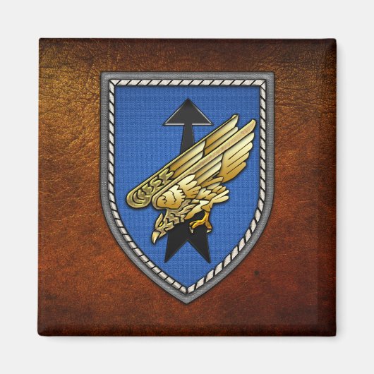 Aimant Division Spezielle Opationen [DSO] (Devant)