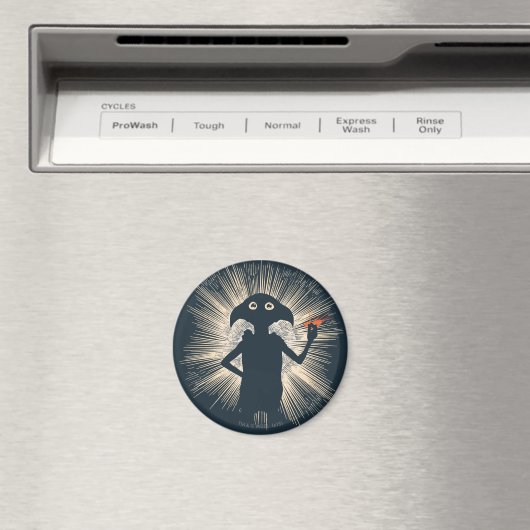 Aimant Dobby Casting Magic (In Situ (Lave-vaisselle))