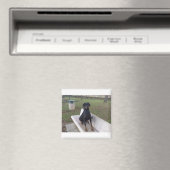 Aimant doberman pinting (In Situ (Lave-vaisselle))
