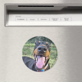Aimant Doberman Souriant (In Situ (Lave-vaisselle))