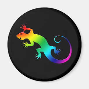 Aimant d'obscurité de Gecko d'arc-en-ciel