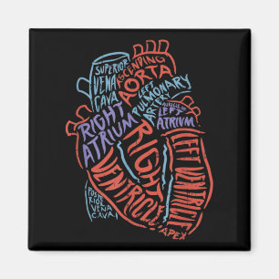 Aimant Docteur en anatomie cardiologue Biologie Médicale
