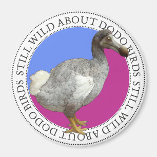 Aimant Dodo Bird