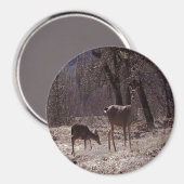 Aimant Doe et fawn.... (Recto/Verso)