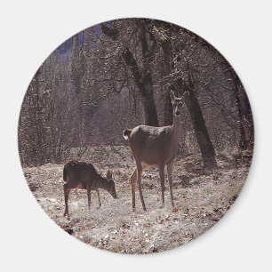 Aimant Doe et fawn....