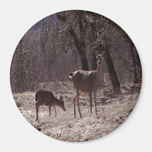 Aimant Doe et fawn.... (Devant)