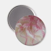Aimant d'oeillet blanc et rose (Recto/Verso)