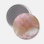 Aimant d'oeillet rose et blanc (Recto/Verso)