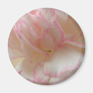 Aimant d'oeillet rose et blanc