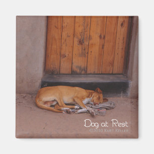 Aimant Dog at Rest