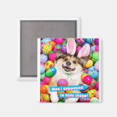 Aimant Dog Laying on Easter Eggs (Recto/Verso)