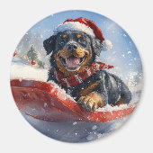 Aimant Dog Rottweiler dans la corniche laissez-vous neige (Devant)