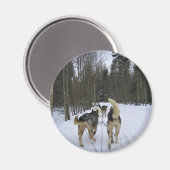 Aimant Dog Sledding à Québec, Canada (Recto/Verso)