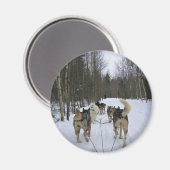Aimant Dog Sledding à Québec, Canada (Recto/Verso)
